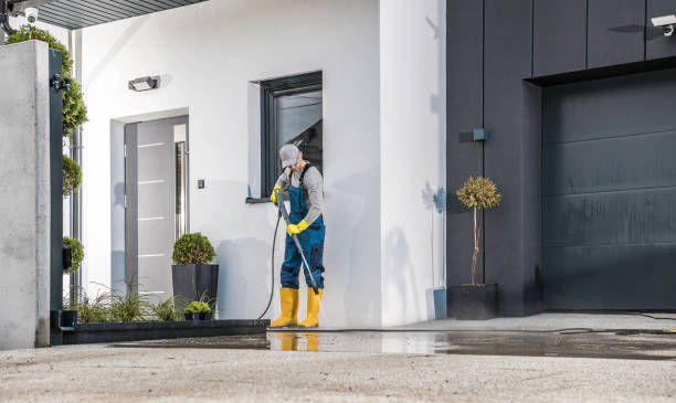 Best Soft Washing  in St Marys, GA
